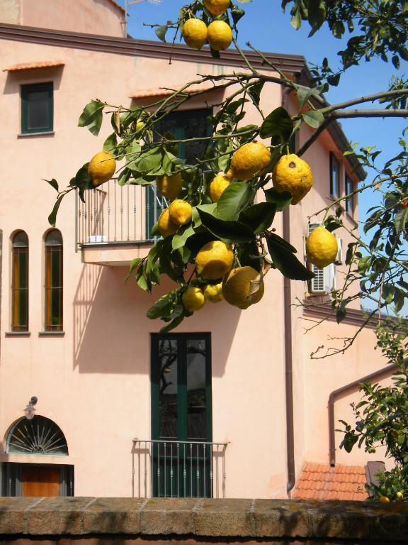 Rosmary - Coast - Gulf Of Naples View Apartment *